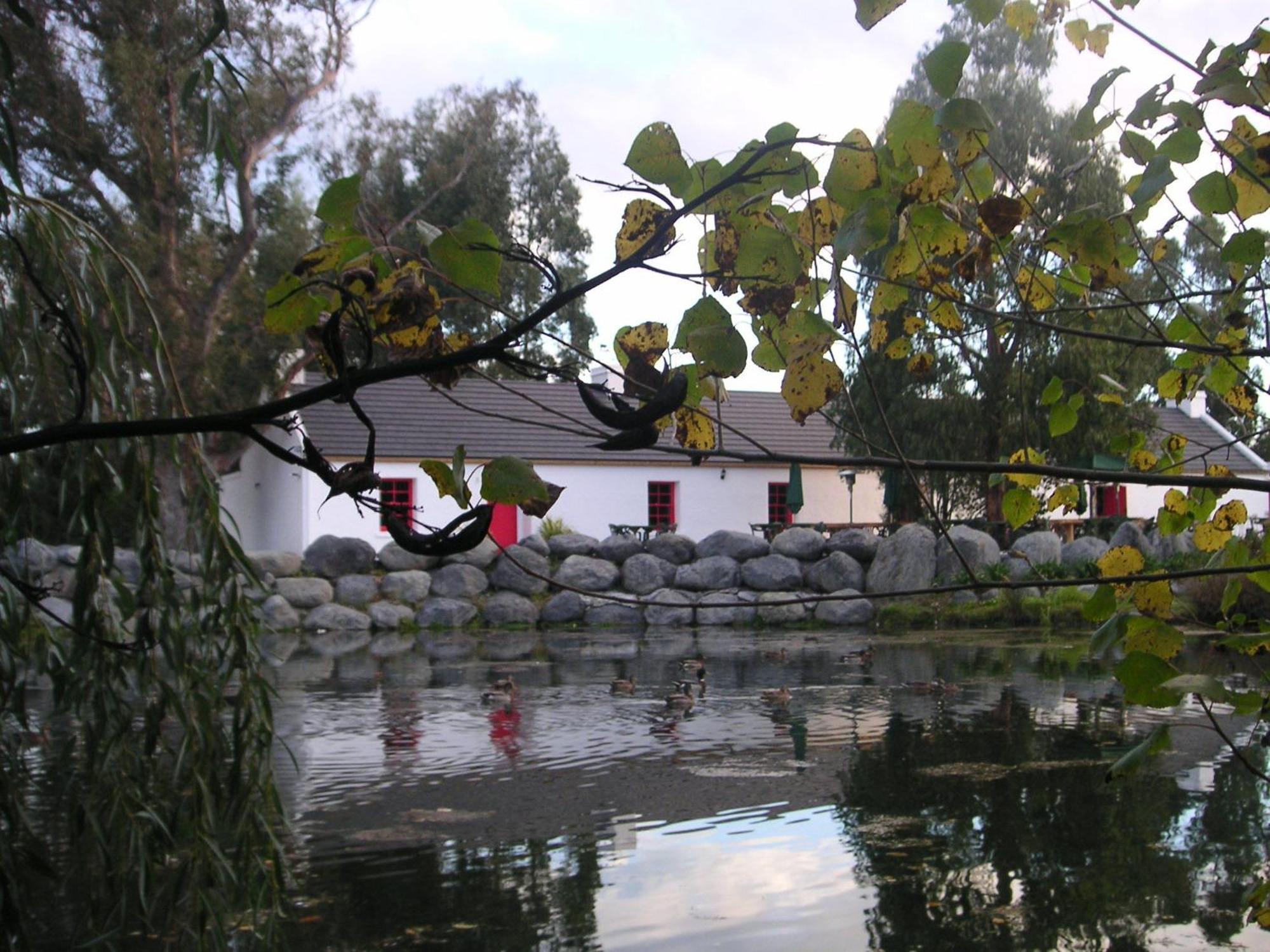 Donegal House Otel Kaikoura Dış mekan fotoğraf